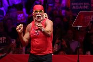 Hulk Hogan in 2024 (Image via Getty)